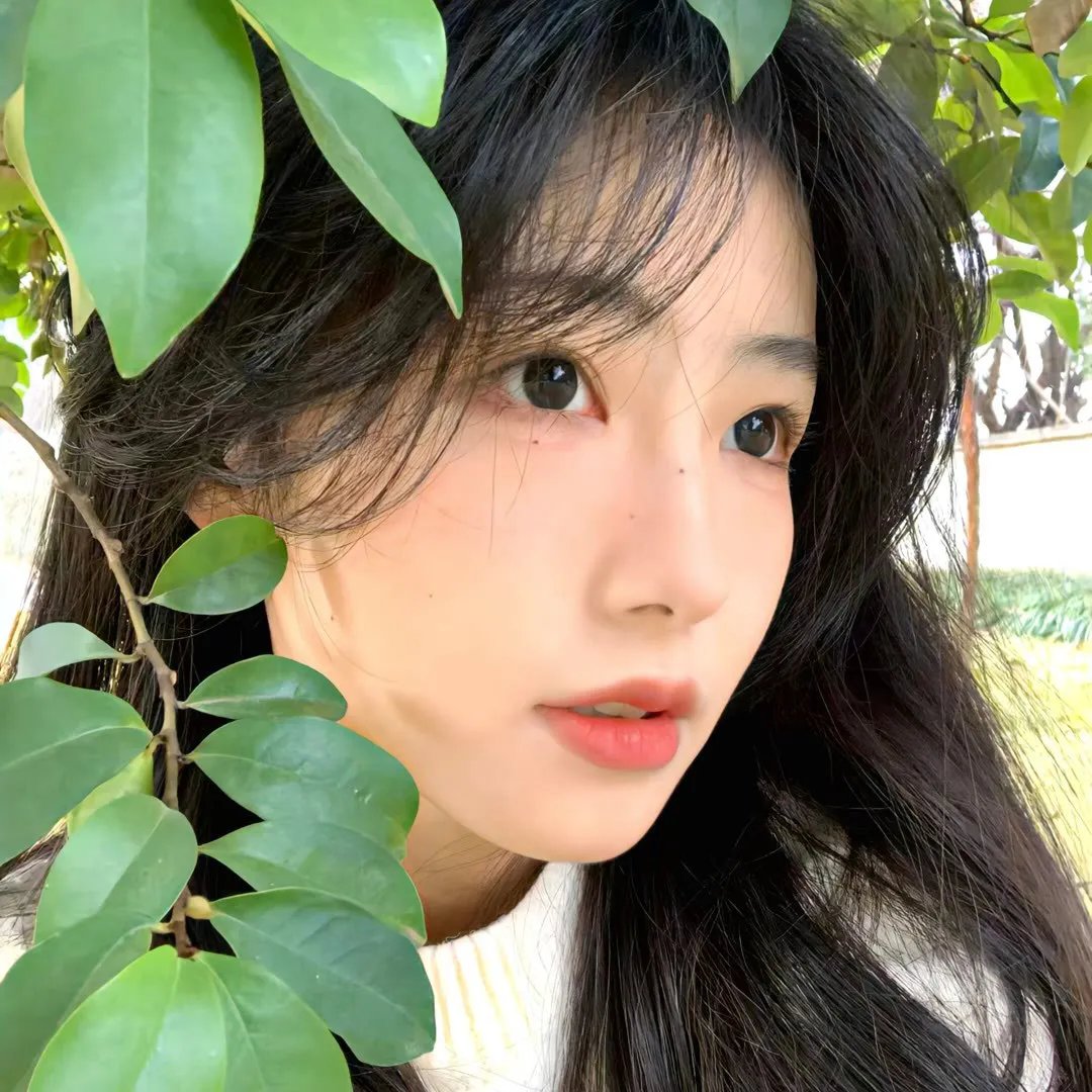 非法途径